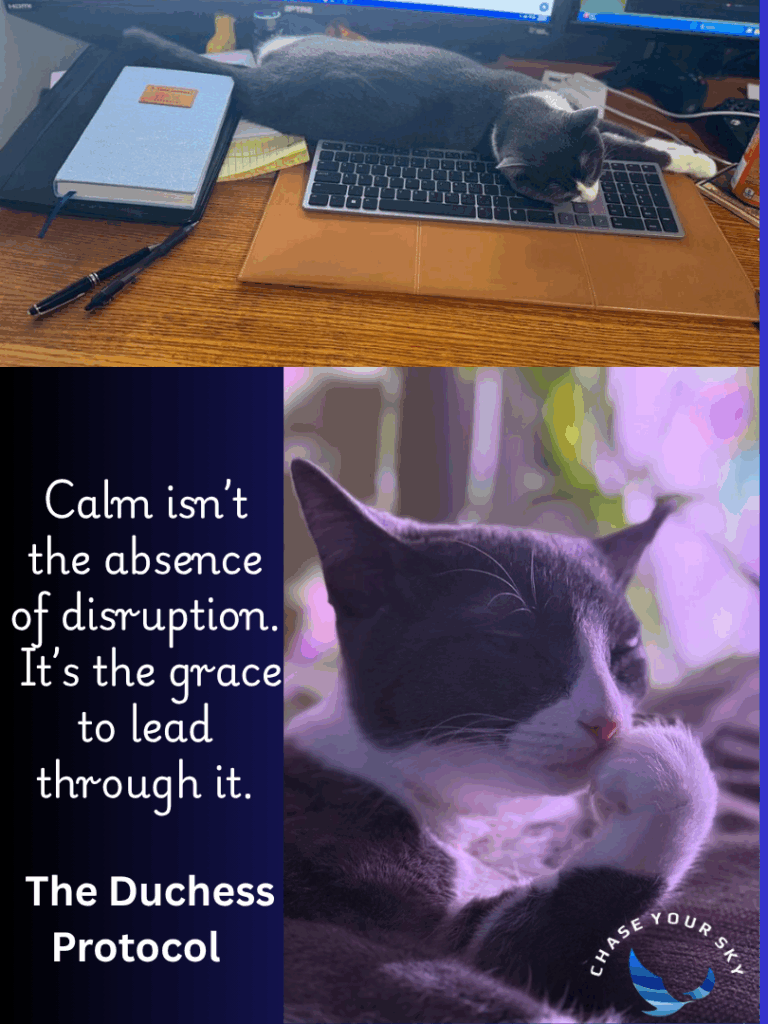Cat on keyboard and thoughtful quote.
